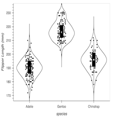 Violin Plot with Jitter